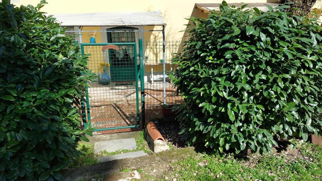 Appartement La Piccola Oasi Con Parcheggio *