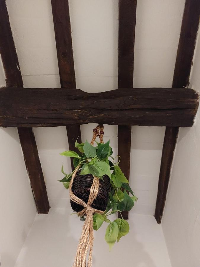 La Piccola Oasi Con Parcheggio Appartement